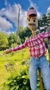 Colorful scarecrow outside near garden close up. Kids made looks funny