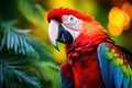 Colorful scarlet macaw parrot in jungle Royalty Free Stock Photo