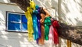 Colorful scarves tied to a tree Royalty Free Stock Photo