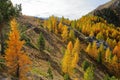 Colorful scenery at Fromage pass located above Ceillac village