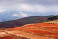 Colorful scenic landscape of Red Land at sunrise, snow mountains and clouds backgrounds. The sun shines down around terraced wheat Royalty Free Stock Photo