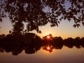 Colorful scenic sunset sun rise on the river pond lake water reflection trees plants