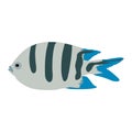 Colorful `Scissortail Sergeant` fish clip art Royalty Free Stock Photo