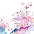 Colorful sea anemone reef scenery clip art. Royalty Free Stock Photo