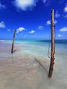Sea at Antunes Beach  Maragogi Alagoas, Brazil. Royalty Free Stock Photo