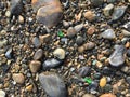 Colorful Sea glass on the coast of Maine Royalty Free Stock Photo