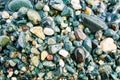 Colorful sea pebbles on the shore close up. Top view. Abstract background texture, sea stones in water. Royalty Free Stock Photo