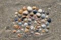 Colorful sea shell arrangement on a coarse sand of Florida coast Royalty Free Stock Photo