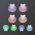 Colorful sea shells silhouettes set on dark background. Vector illustration Royalty Free Stock Photo