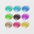 Colorful sea shells silhouettes set on white background. Vector illustration Royalty Free Stock Photo