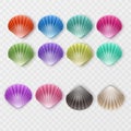 Colorful sea shells silhouettes set on white background. Vector illustration Royalty Free Stock Photo