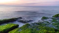 Colorful sea shore with green algae long exposure water at sunset time Royalty Free Stock Photo