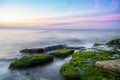 Colorful sea shore with green algae long exposure water at sunset time Royalty Free Stock Photo