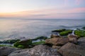 Colorful sea shore with green algae long exposure water at sunset time Royalty Free Stock Photo
