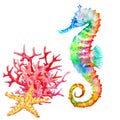 Colorful seahorse, red coral and starfish, watercolor Royalty Free Stock Photo