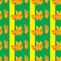 Colorful seamless green, yellow pattern with ash seeds and dry leaves on the background Royalty Free Stock Photo