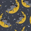 Colorful seamless pattern with happy raccoons, moon, stars. Decorative cute background, funny animals, sky. Good night