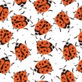 Colorful seamless pattern, ladybugs. Decorative cute background, funny insects