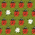 Colorful seamless pattern, ladybugs and flowers. Decorative cute background, funny insects, daisies