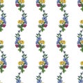 Colorful seamless pattern with a linear ornament of bouquets of flowers of chicory, tansy, clover. Royalty Free Stock Photo