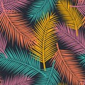 Colorful seamless pattern with palm leaves Royalty Free Stock Photo