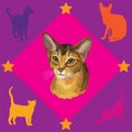 Seamless Pattern with Abyssinian Cat Royalty Free Stock Photo