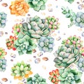 Colorful Seamless pattern with succulents plants, pebble stones,branches Royalty Free Stock Photo