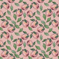 Colorful seamless peach pattern on  pink background. Royalty Free Stock Photo