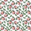 Colorful seamless peach pattern on white  background. Royalty Free Stock Photo