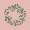 Colorful seamless wreath of peaches, leaves and flowers on a pink background. Royalty Free Stock Photo