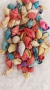 Colorful seashells vibrant colors mini cute seashell
