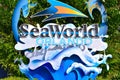 Colorful Seaworld Sign on forest background in International Drive area.