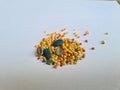 Colorful seed for lovebird feed