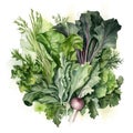 selection of leafy greens