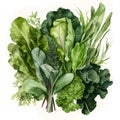 selection of leafy greens