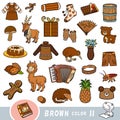 Colorful set of brown color objects. Visual dictionary for children about the basic colors