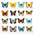 Vibrant Hyper-realistic Butterfly Vector Illustrations
