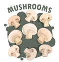 Colorful set of champignon mushroom illustration