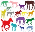 Colorful Set of silhouettes of foals