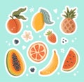 Colorful fruits and berries stickers set