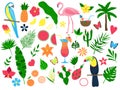 Colorful set of summer tropical elements. Leaves and flowers, fruits, cocktails, birds. Set of stickers, print