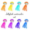 Colorful set of under water sea and ocean animals jellyfish with tentacles. Watercolor hand drawn illustration realistic. Hello