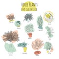 Colorful set of various potted houseplants for clean air. Abstract shapes on background