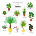 Colorful set of various potted houseplants for clean air. Succulents, evergreen plants in planters. Flat style stock