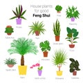 Colorful set of various potted houseplants for good feng shui. Succulents, evergreen plants in planters. Flat style stock vector