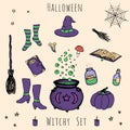 Colorful set of vector halloween elements. Includes potions, vials, herbs, books, mushrooms, cauldron Royalty Free Stock Photo