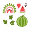 Colorful set vector watermelon elements