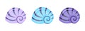 Colorful shellfish symbol isolated on white background. Vector illustration. Shells underwater icon set frame of sea shells.Summer Royalty Free Stock Photo