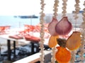 Colorful shells curtain