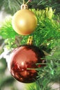 Colorful shiny Christmas toys balls on the tree for the new year holiday Royalty Free Stock Photo